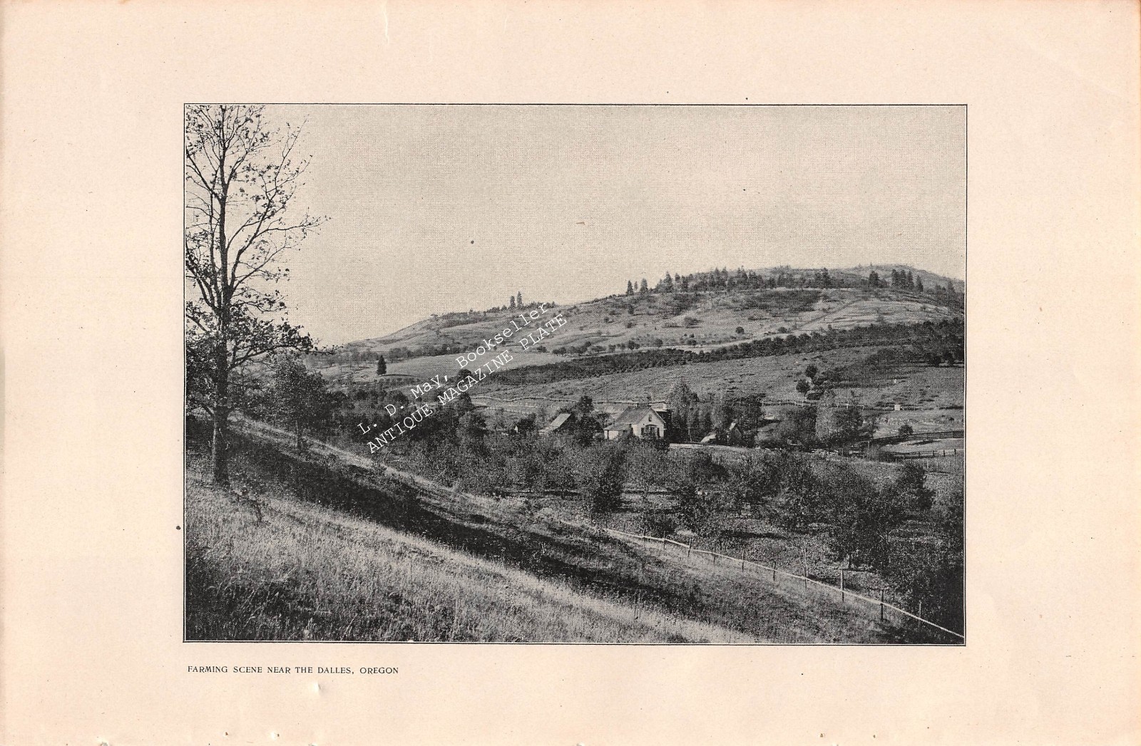 1902 THE DALLES OR OREGON Farming Scene antique ILLUSTRATION from photograph 1902 THE DALLES OR OREGON Farming Scene antique ILLUSTRATION from photograph