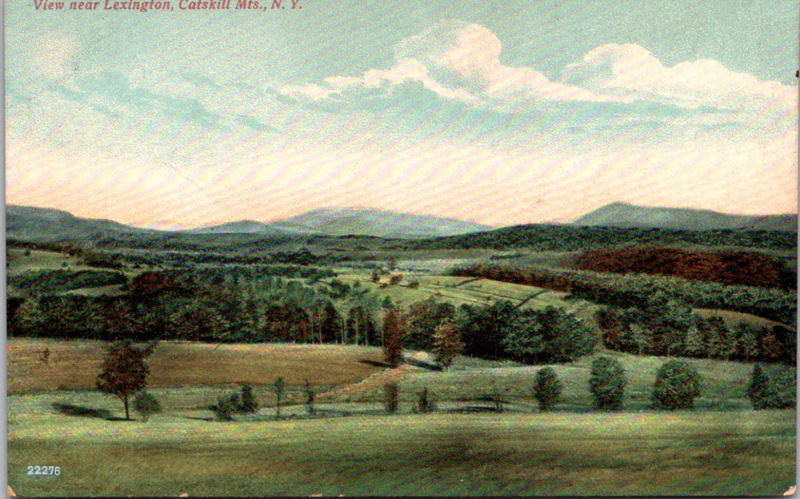 Catskill Mountain New York NY Landscape Near Lexington 1910s Postcard