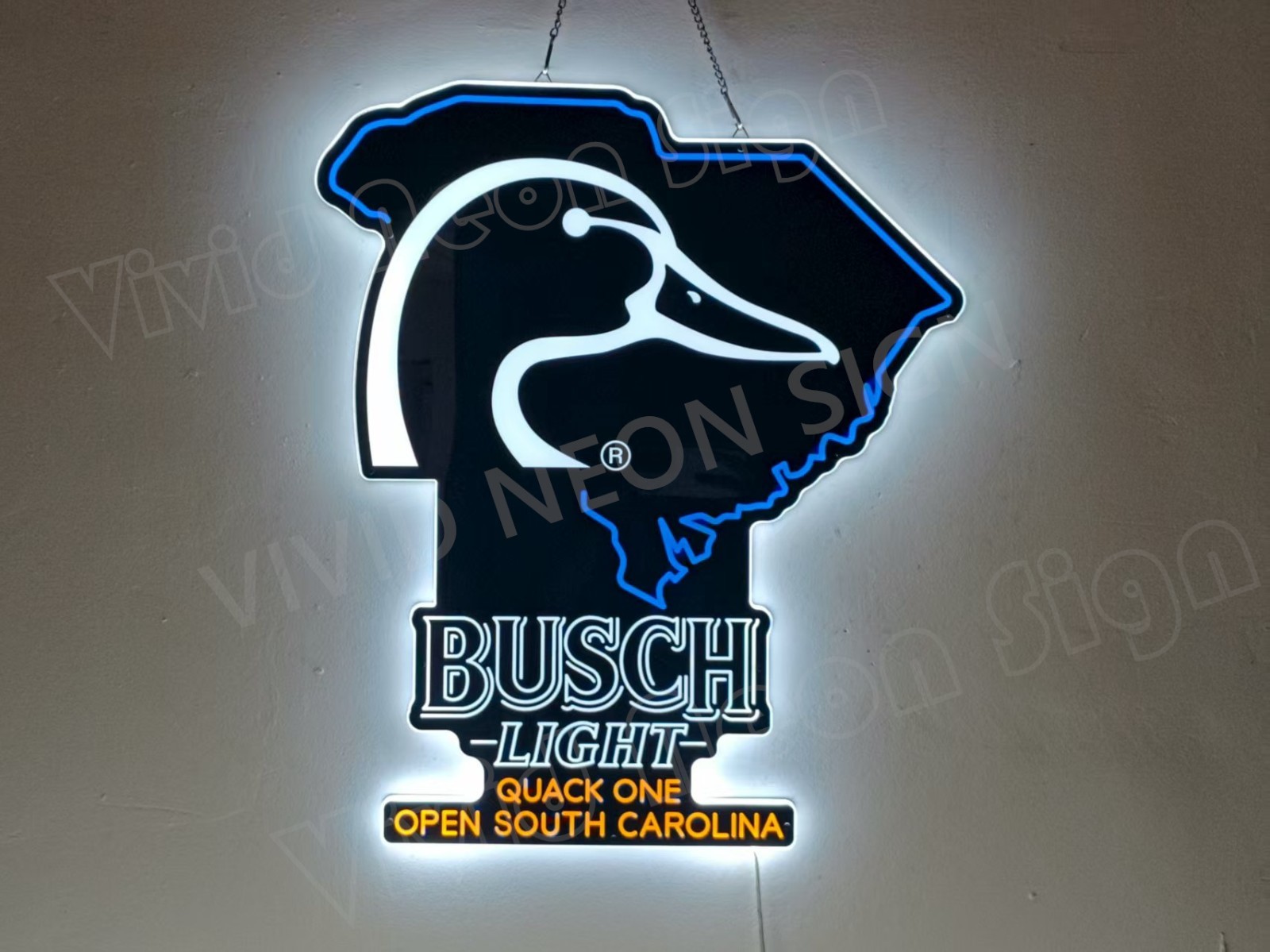 South Carolina State Flying Duck Quack One Open Beer 24