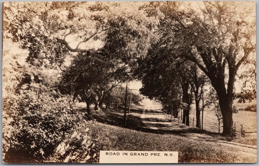 c1910s GRAND PRE, Nova Scotia CANADA Real Photo RPPC Postcard / Road Scene