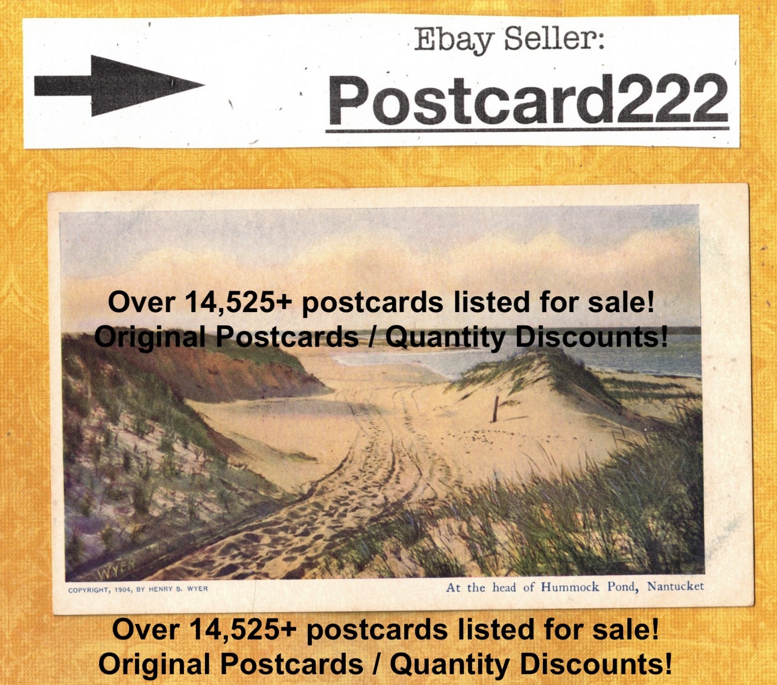 MA Nantucket 1904 vintage postcard AT THE HEAD OF HAMMOCK POND MASS
