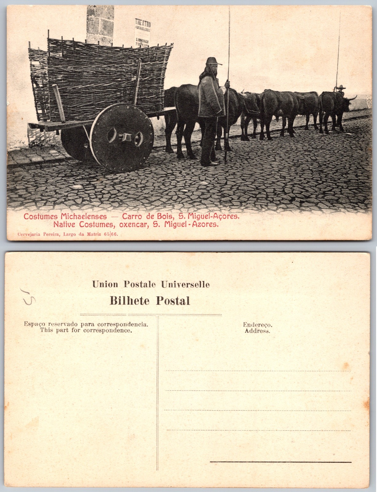 Oxen Cart São Miguel Azores Postcard