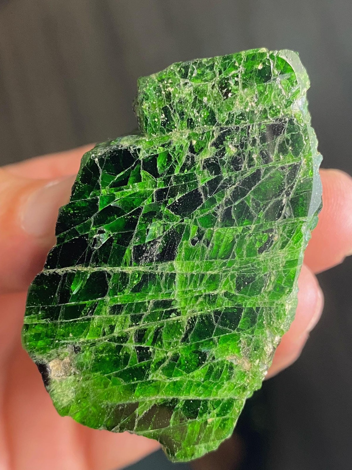 Emerald green XL Chrome Diopside Crystal Specimen