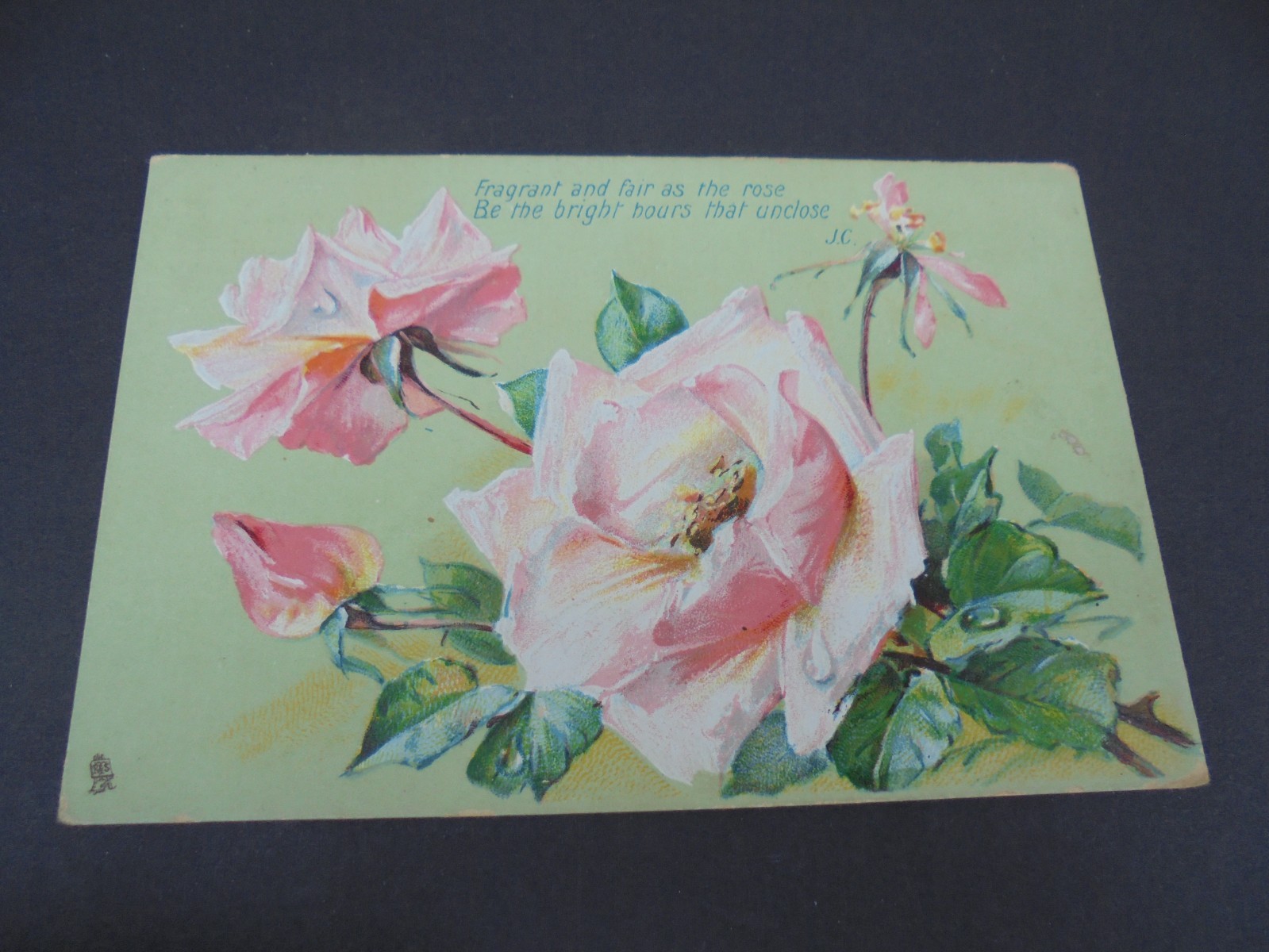 1907 TUCK\'S ART SERIES 6881 POSTCARD FRAGRANT & FAIR THE ROSE PM WATERVILLE, WA