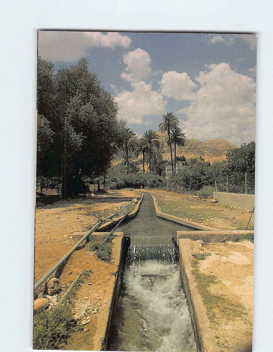Postcard Elisha Spring Jericho Palestine
