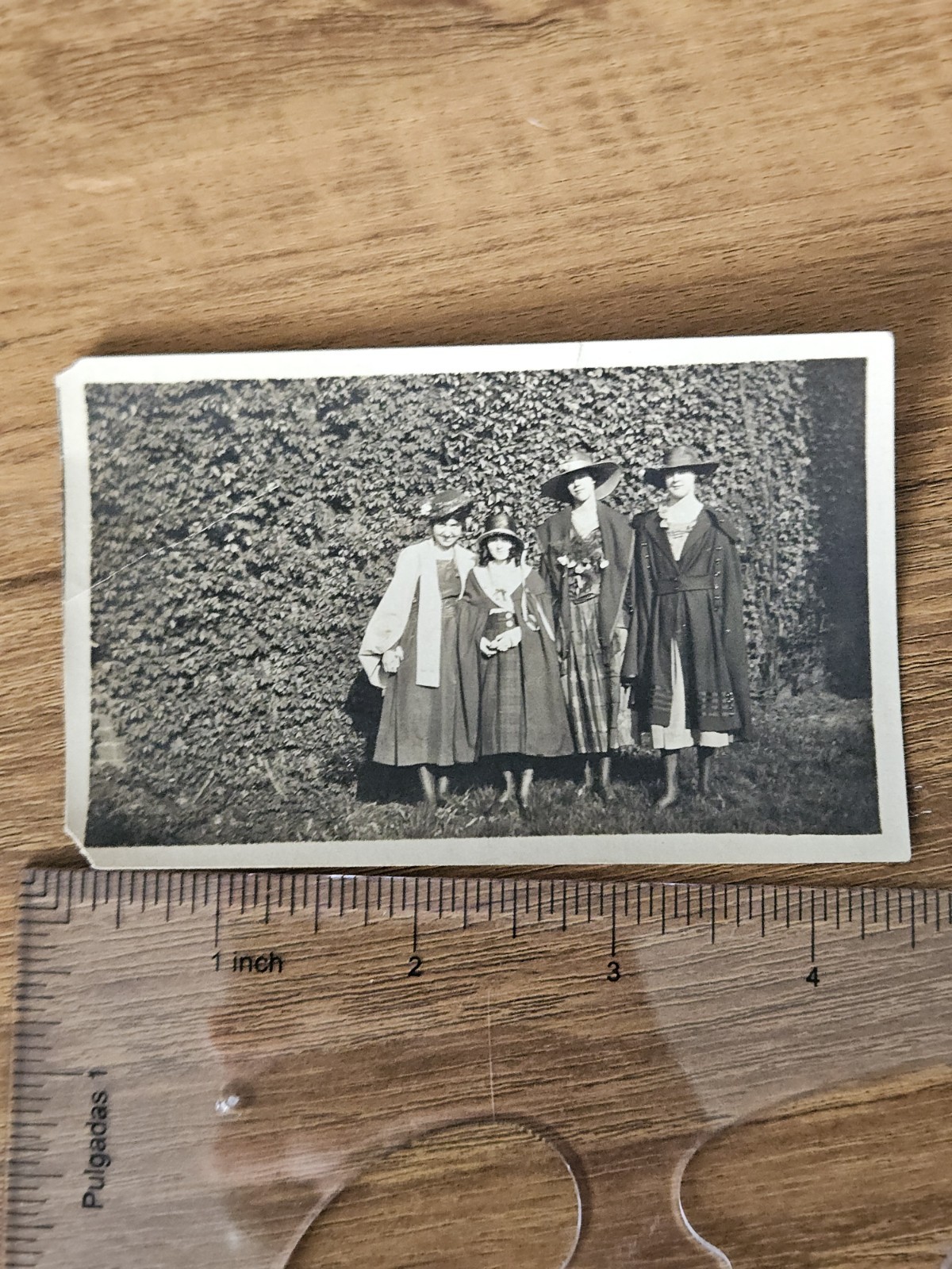 Antique Photograph 1910s 1920s Women In Dresses Appalachia Tennessee Knoxville