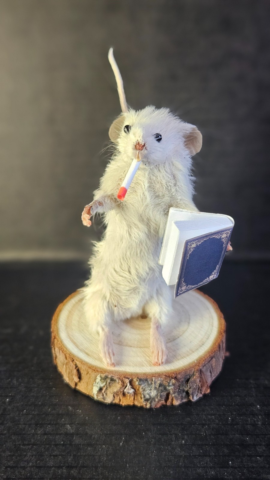 Taxidermy funny smoking mouse oddities charming gift for him or her
