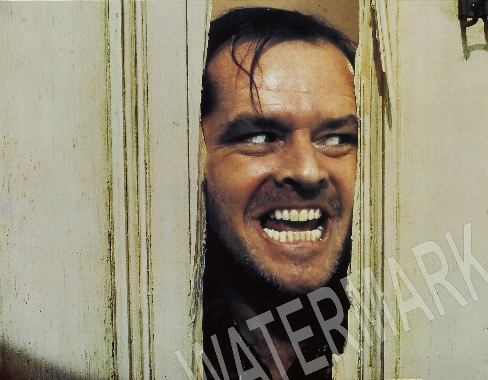 1980 The Shining Movie  High Quality Metal Fridge Magnet 3x4 9866