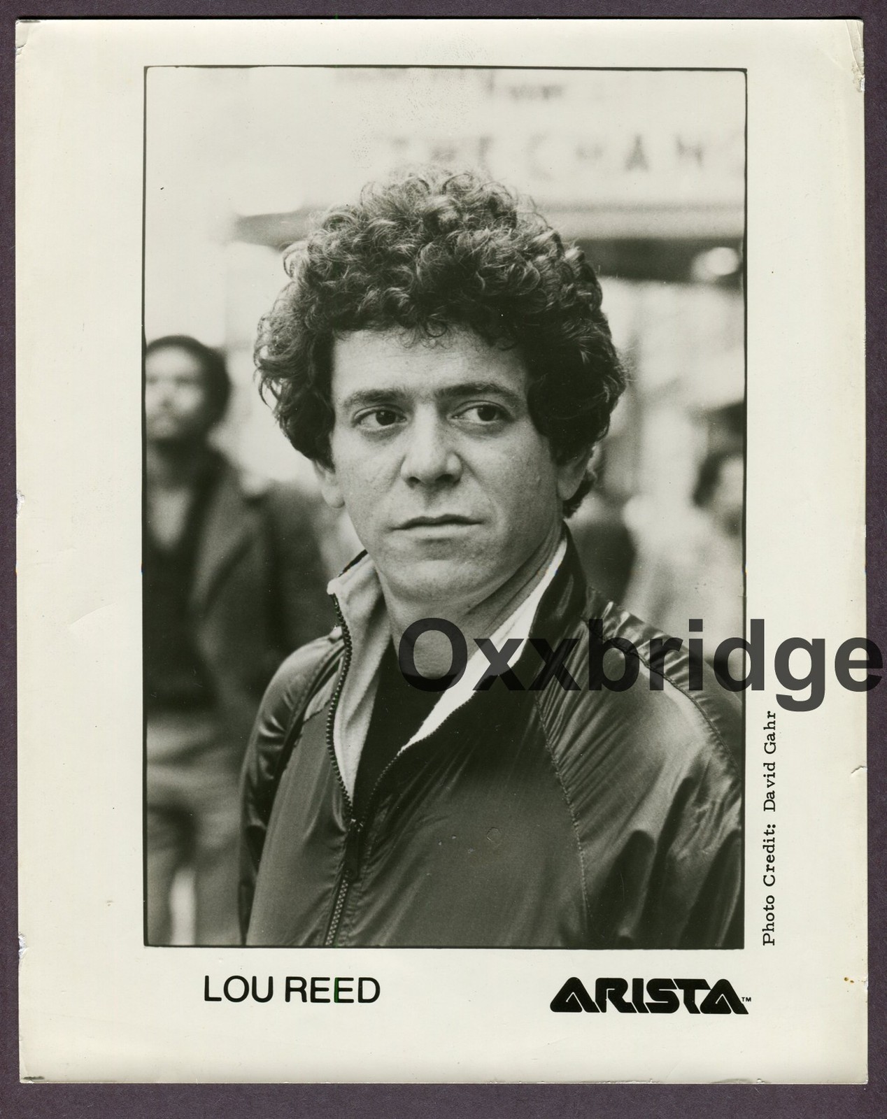LOU REED PHOTO Arista  DAVID GAHR Original Photograph Rock Star Nico Warhol