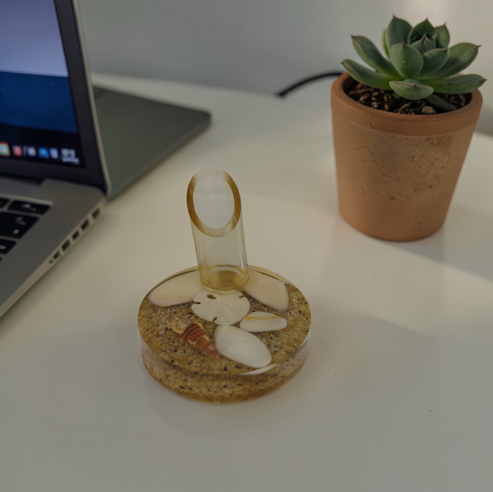 MCM Lucite Seashell Pen Holder USA Beach Decor Desk Kitzch 