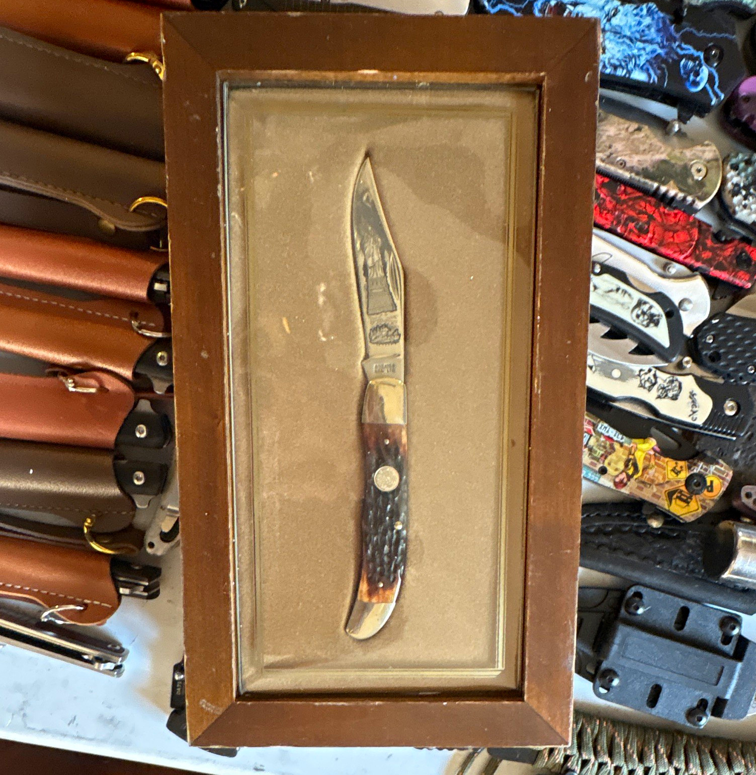 Schrade 8476 1976 Scrimshaw Bone Handle Stainless 1-Blade Pocketknife