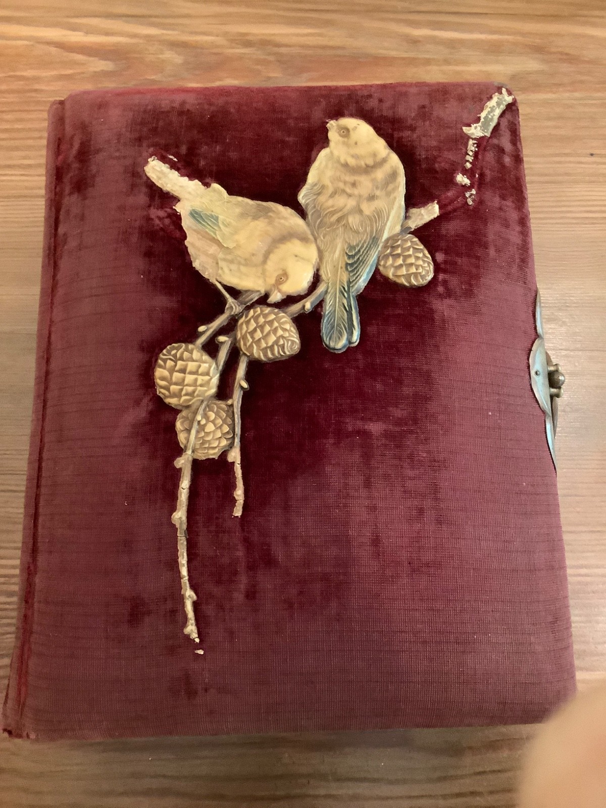 Antique Victorian Era Family Portraits Cabinet Card Photo Album Birds.   C5