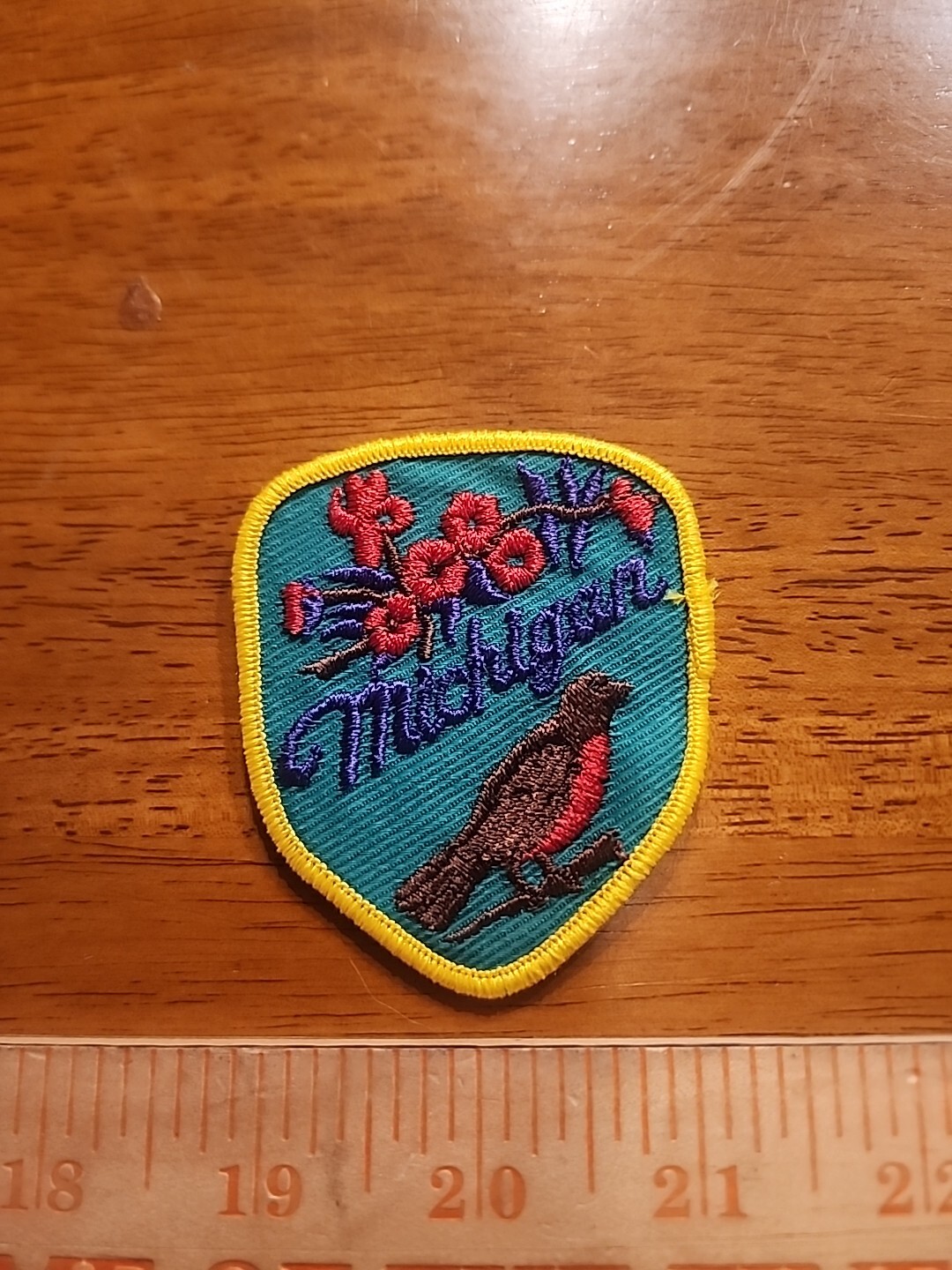 Vintage State of Michigan Sew On Patch  V1