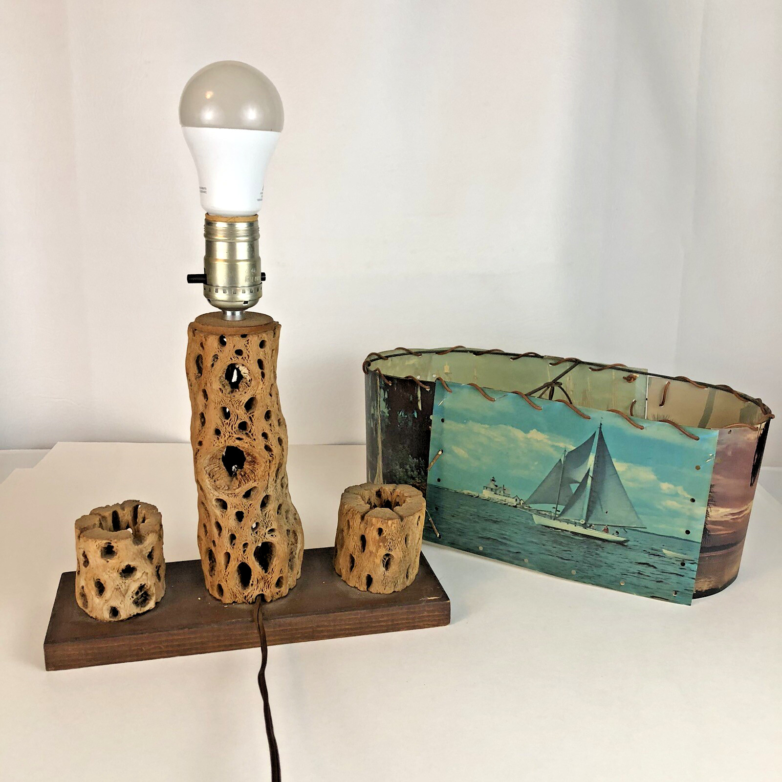 Vintage Cholla Cactus Lamp Photo Shade Handmade Southwest Mid Century Works