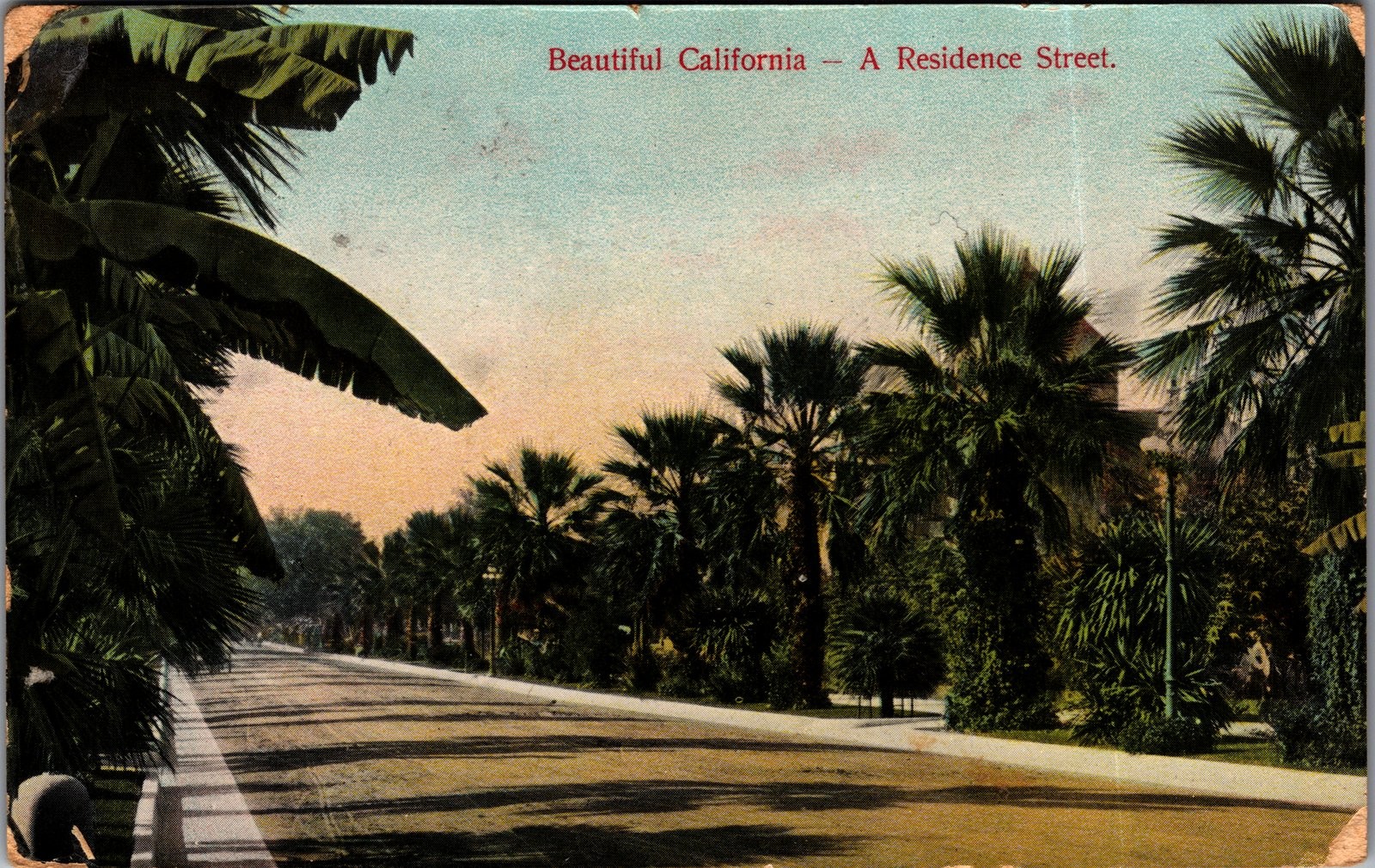 1912 Beautiful California Residence Street Palm Trees Postcard