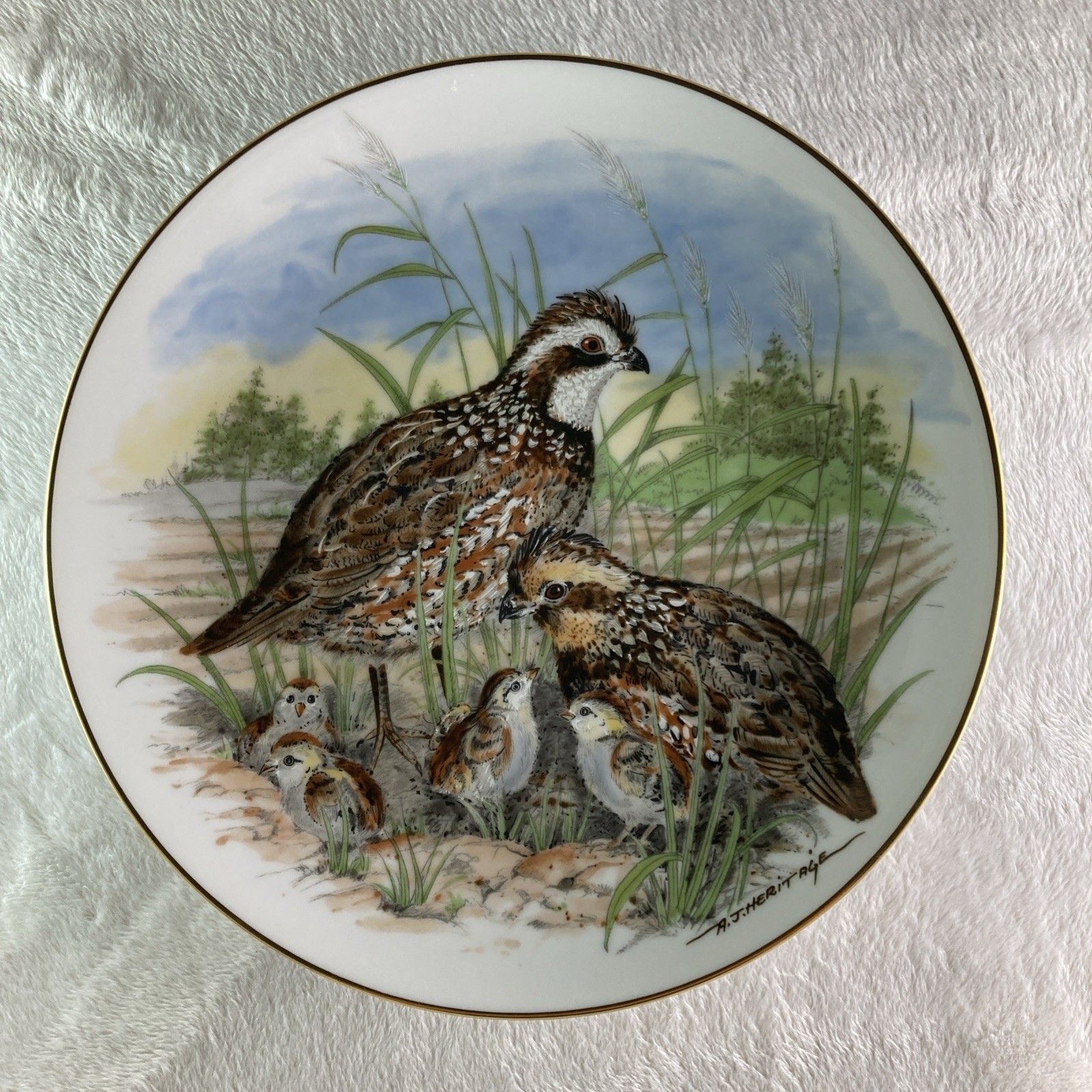 BOBWHITE QUAIL Plate Game Birds of the South Southern Living Gallery AJ Heritage