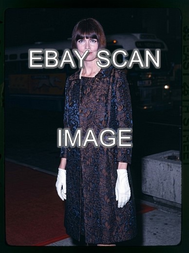 BARBARA FELDON BEAUTY FROM GET SMART SIXTIES TV LEGEND   8X10 PHOTO 3