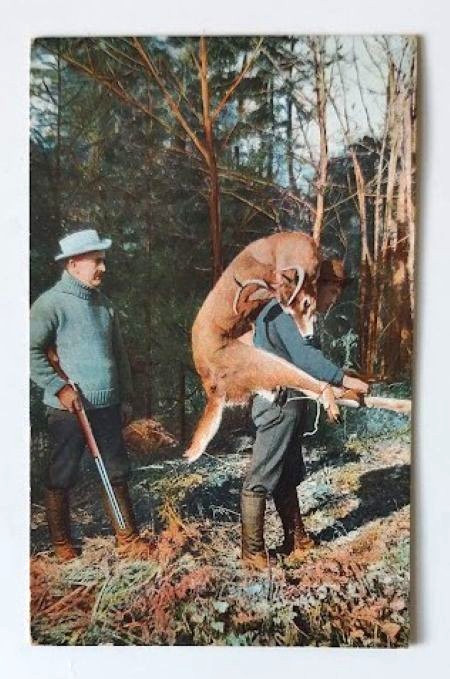 VTG 1908 HUNTING Postcard HUNTER CARRIES DEER BAGGED DURING HUNT OUT ON HIS BACK