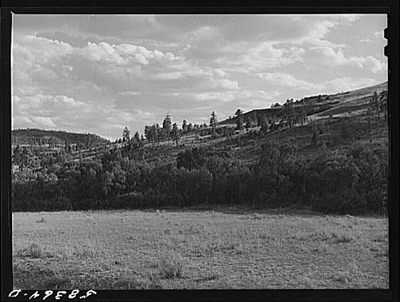 Photo:Birney Lame Deer Montana 1941 Grazing Land Rolling Hills Rangeland