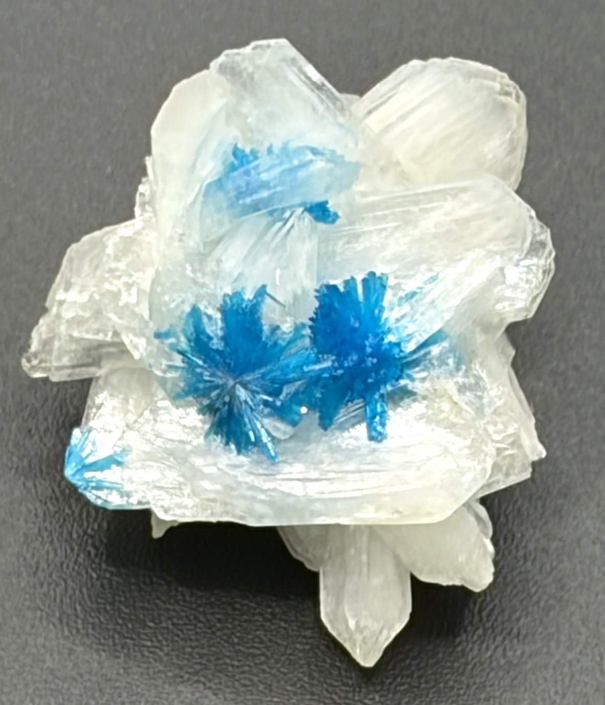 CAVANSITE AND STILBITE  SPECIMEN