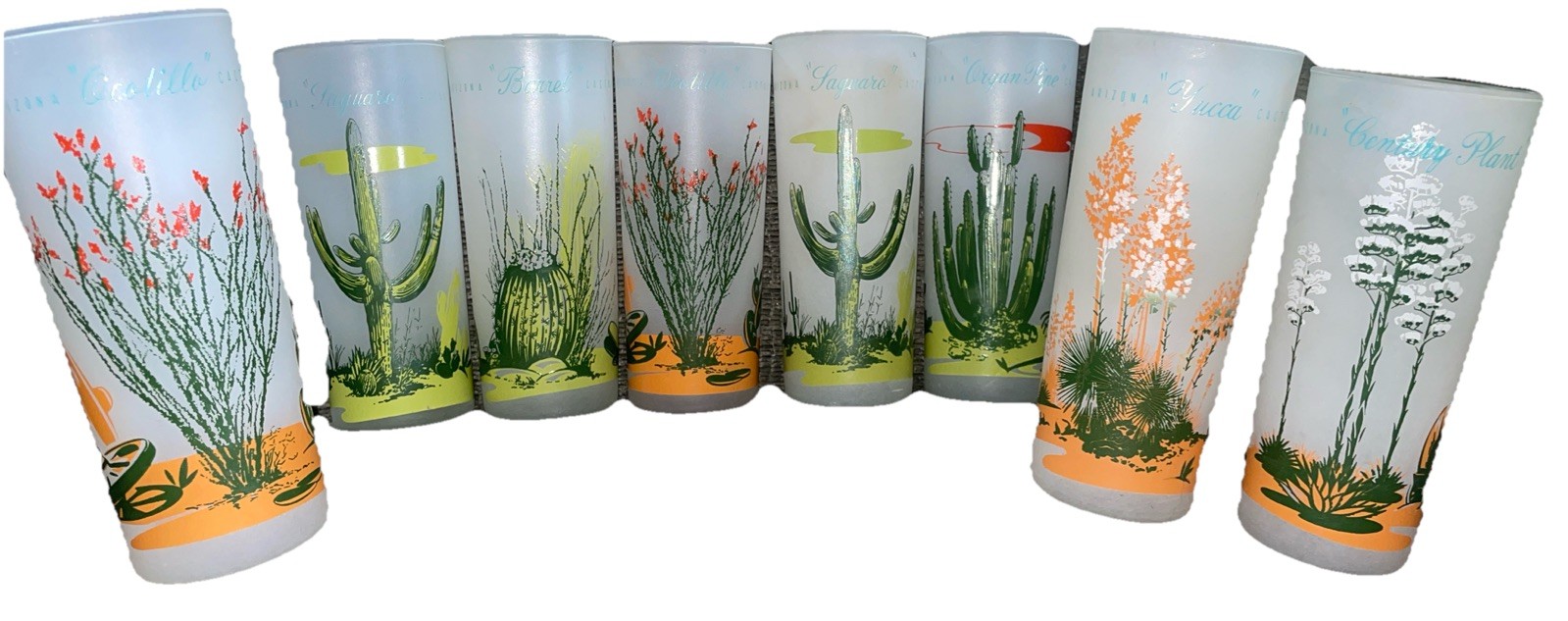Set Of 8 Vintage Blakely Oil & Gas Arizona Cactus Frosted Ice Tea Glasses