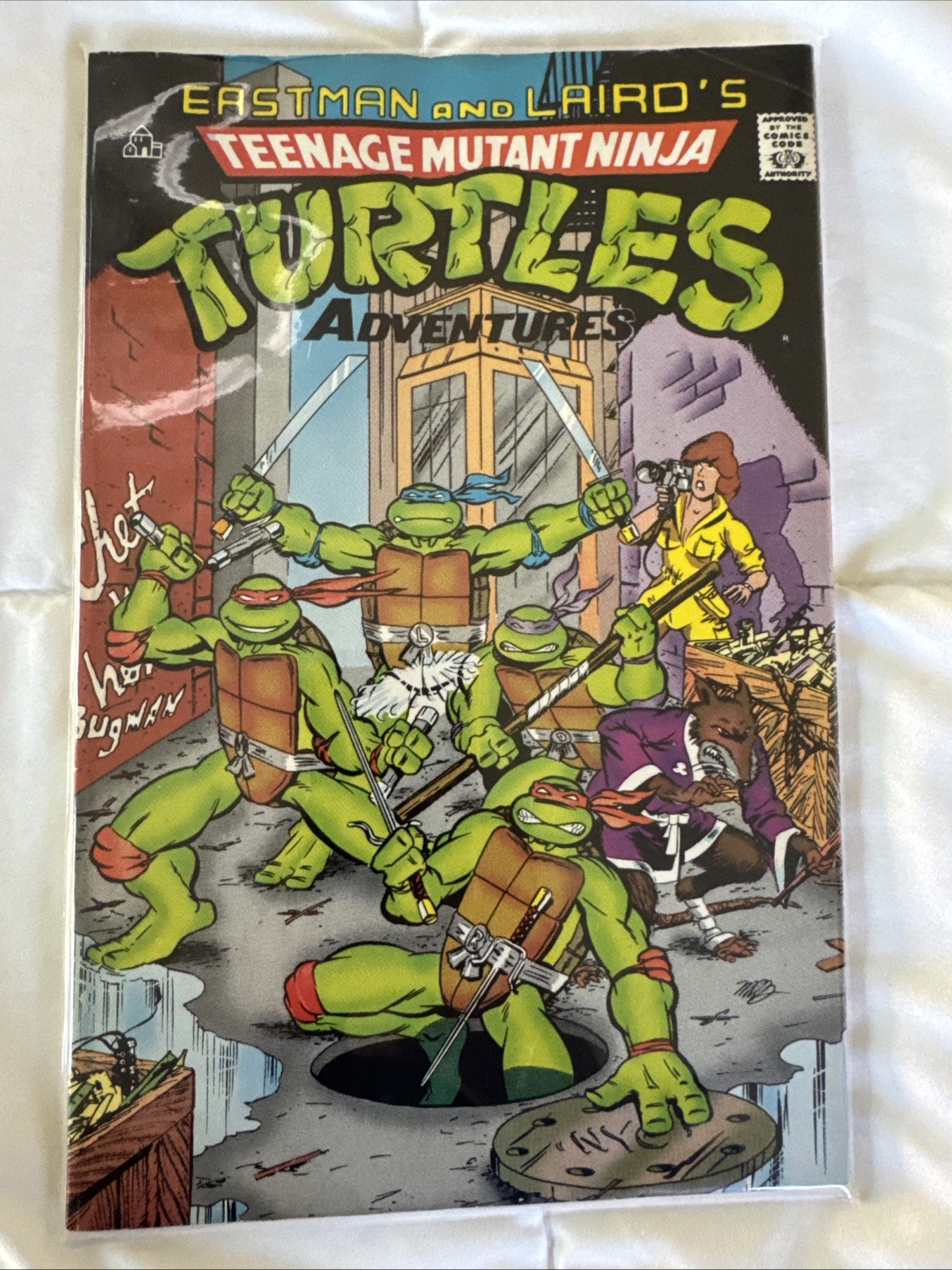 Teenage Mutant Ninja Turtles Adventures comic book 1989, good condition, US sllr