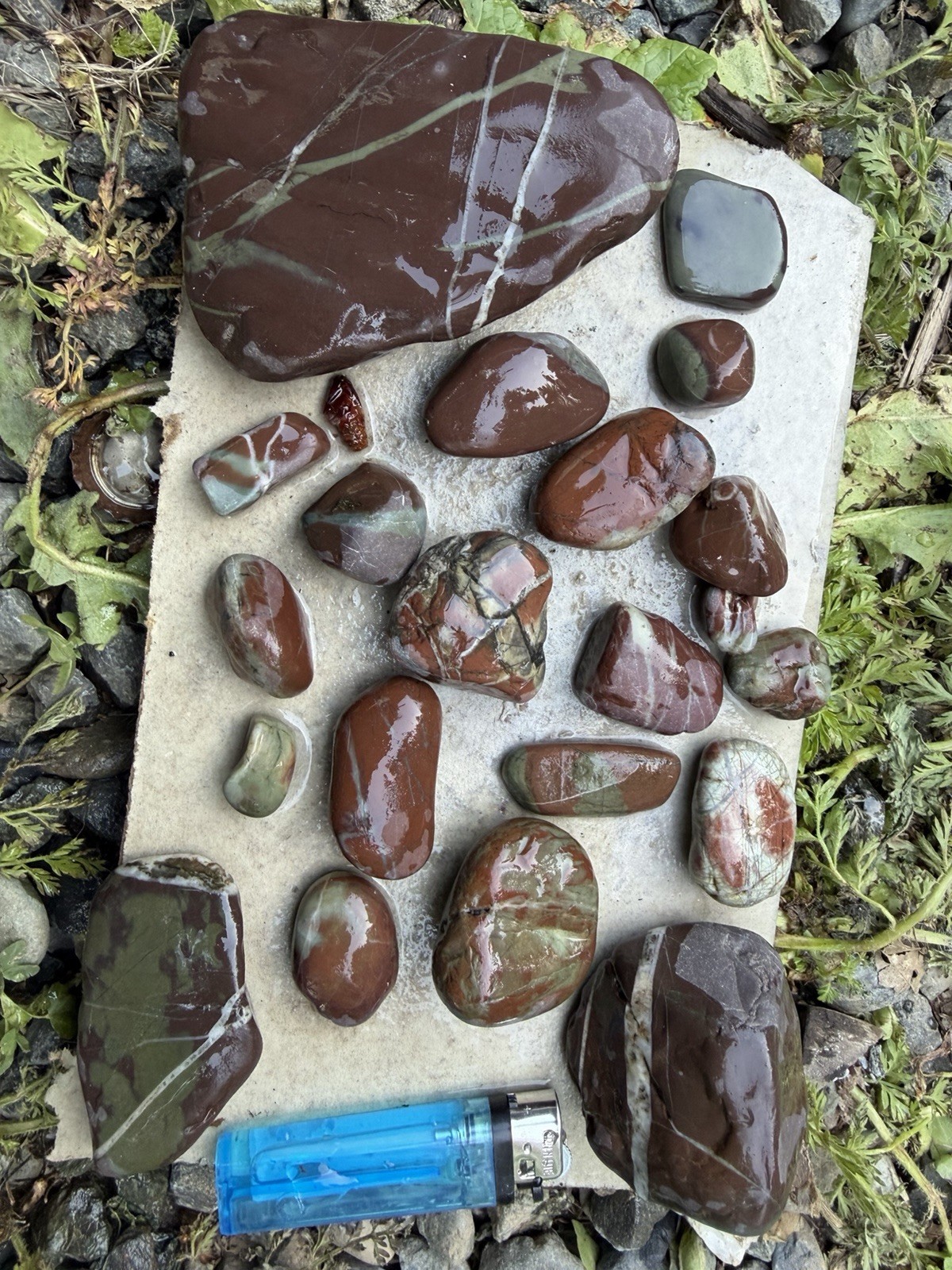 Curated Northern California Jasper & Veined River Stone Collection