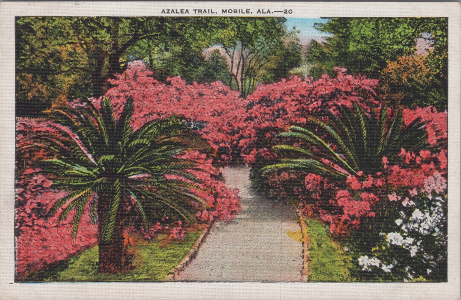 MR ALE ~ Azelea Trail Mobile Alabama AL c1920s UNP Postcard 7231c1