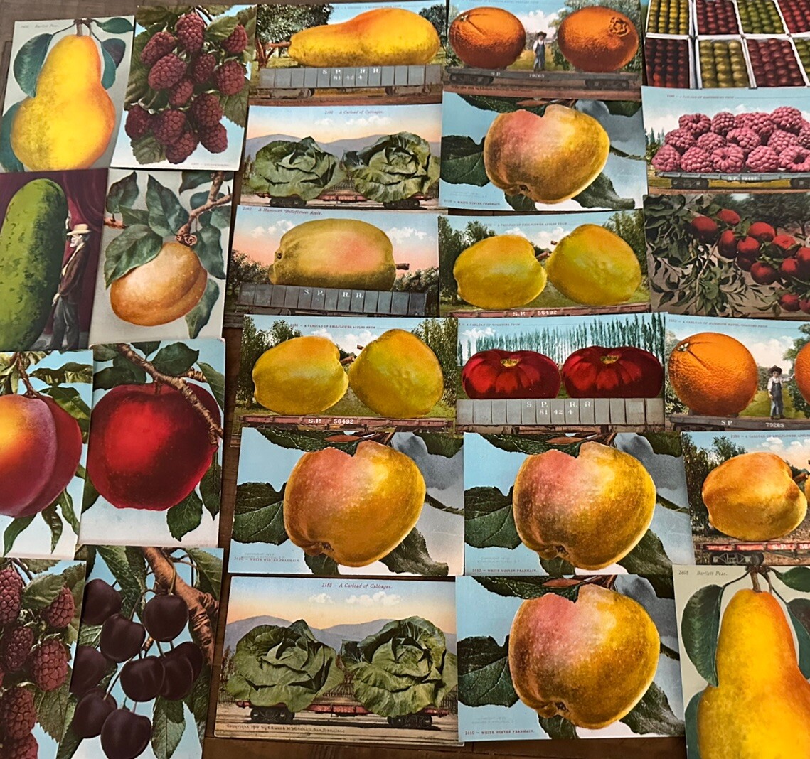 Lot of 25~Exaggerated Exaggeration Vintage Postcards~Big Fruit~Veggies~etc.~m505