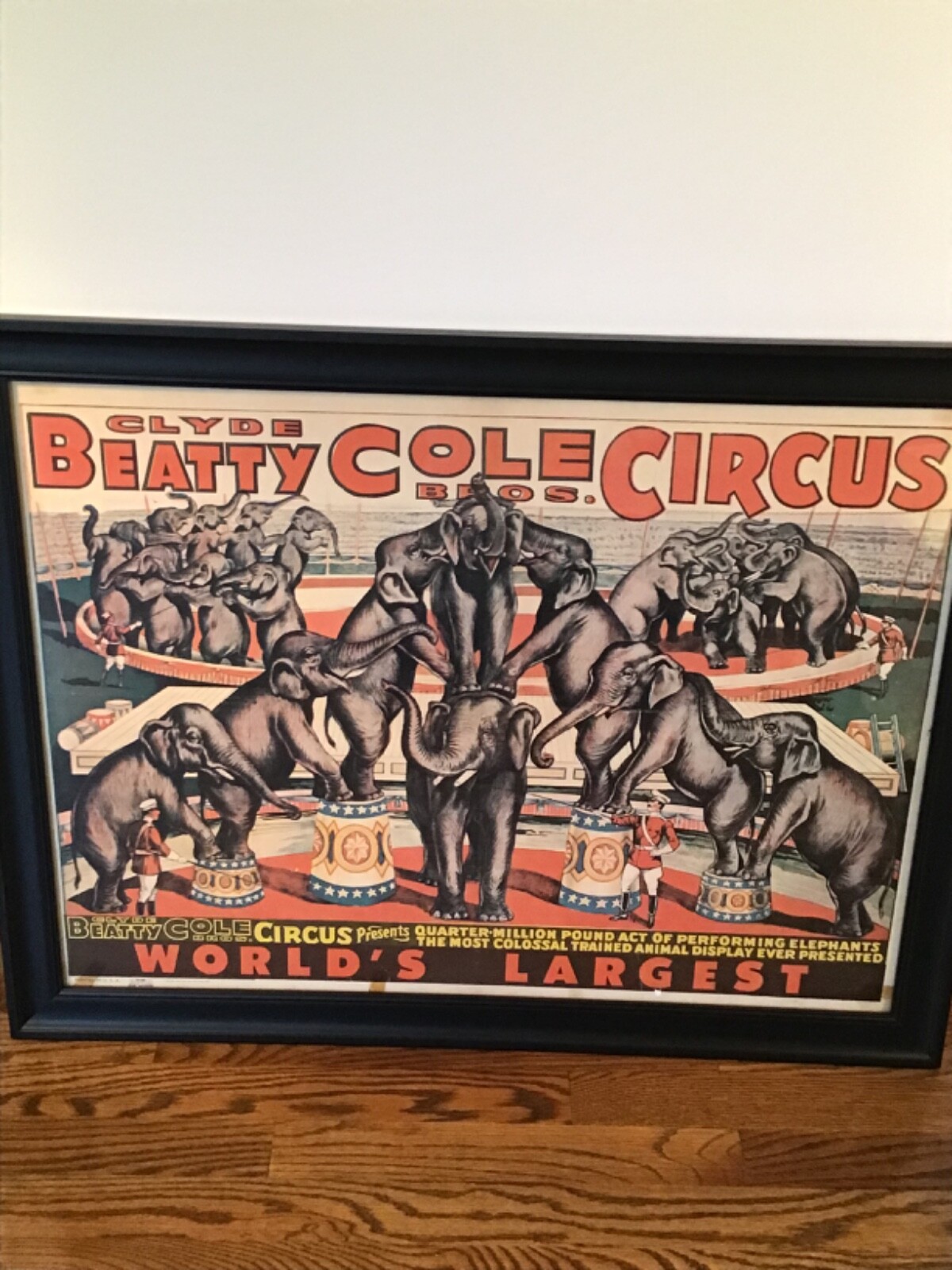 Vintage 1965 Clyde Beatty Cole Circus Elephant Acme Show Poster Frame