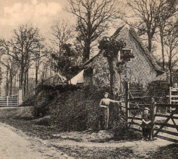 * Antique RPPC DB Postcard Kemmel LA Warande Chateau Belgium Pre WW1 C1900s