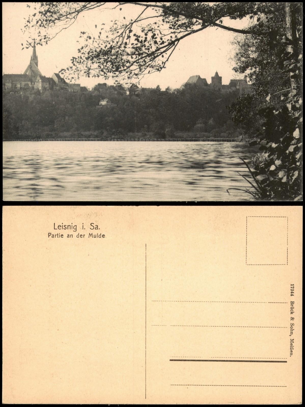 Postcard Leisnig An der Mulde 1914