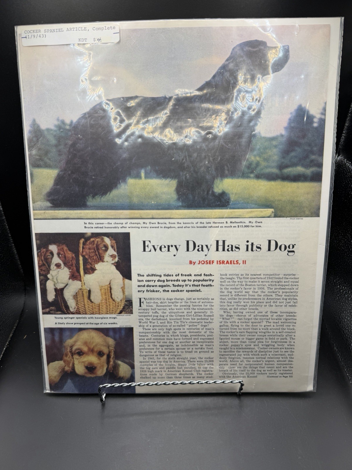 1943 Cocker Spaniel Dog Article Print Vintage Ad Art Josef Israels II 