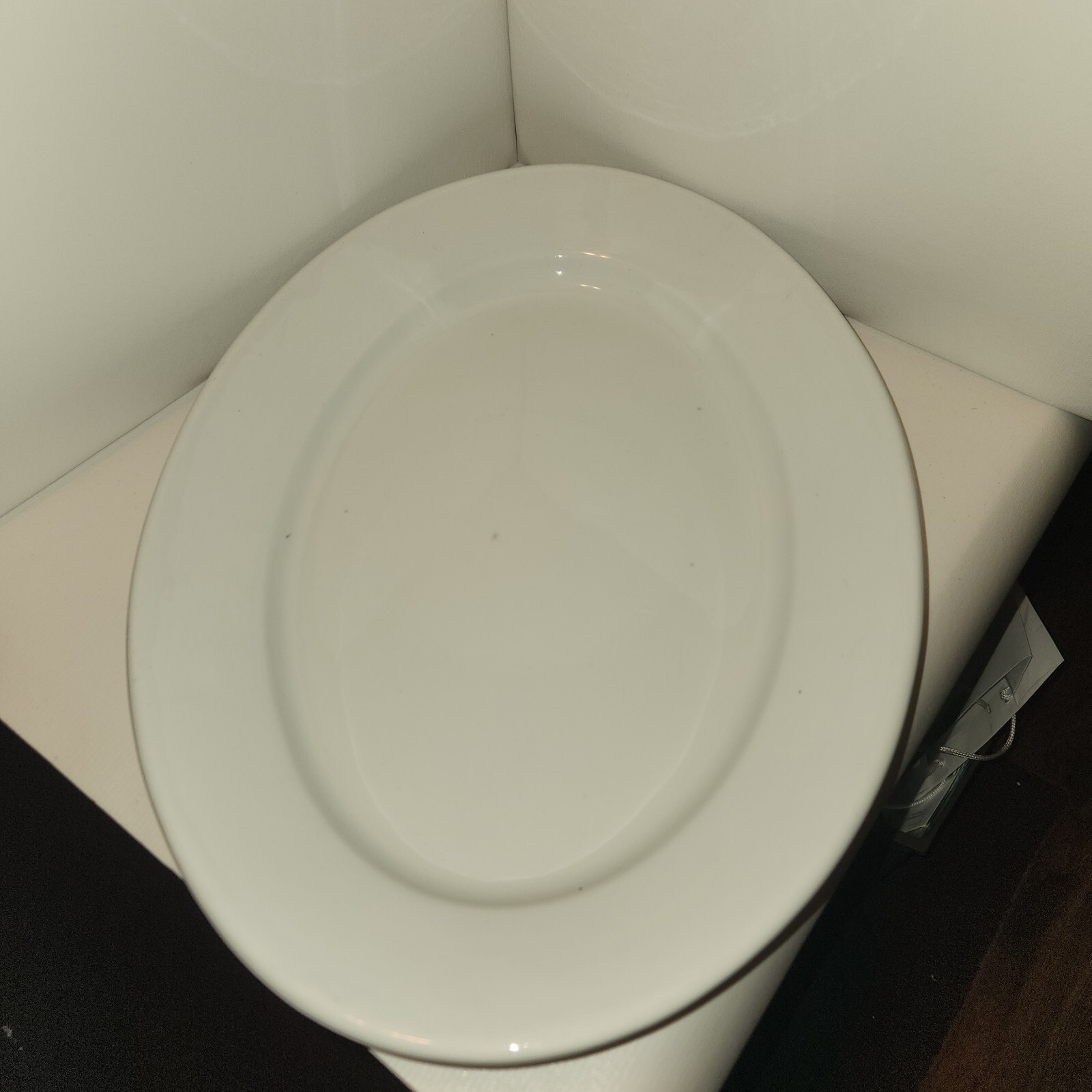 Very Large Vintage 1800\'S Royal Ironstone Burgess & Goddard Platter (18.75 x 13)
