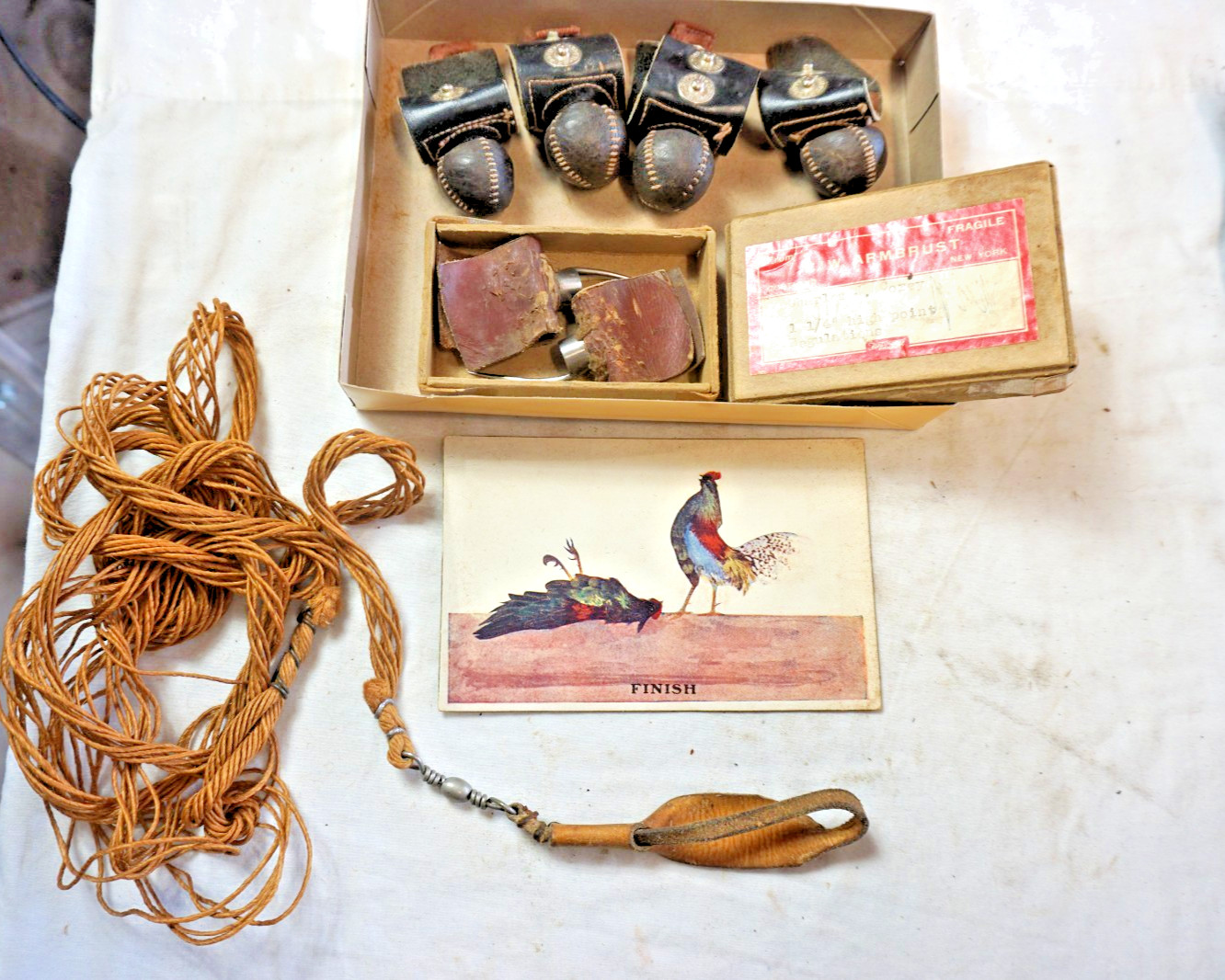 RARE HISTORICAL GAMECOCK SPARRING EQUIPMENT & EARLY BOSTON POST CARD-FOR DISPLAY