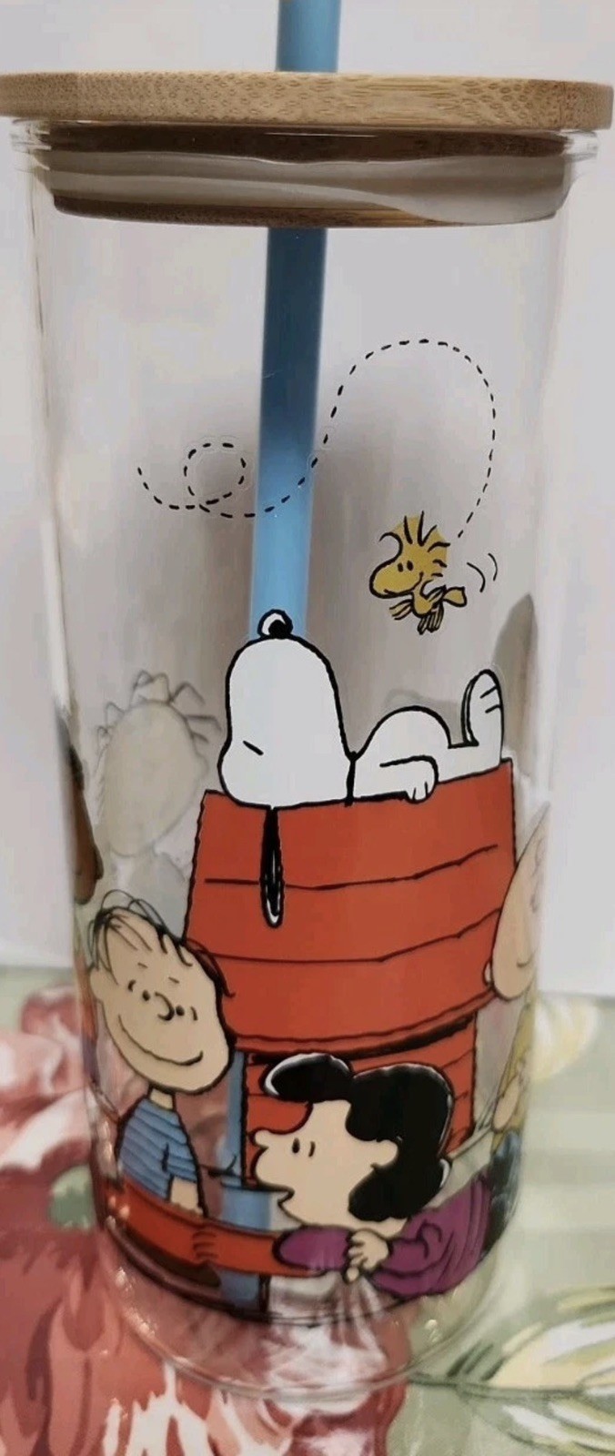 Peanuts Gang Snoopy 2 Sided Tumbler W/ Straw 23oz By Gibson Peanuts Gang Snoopy 2 Sided Tumbler W/ Straw 23oz By Gibson