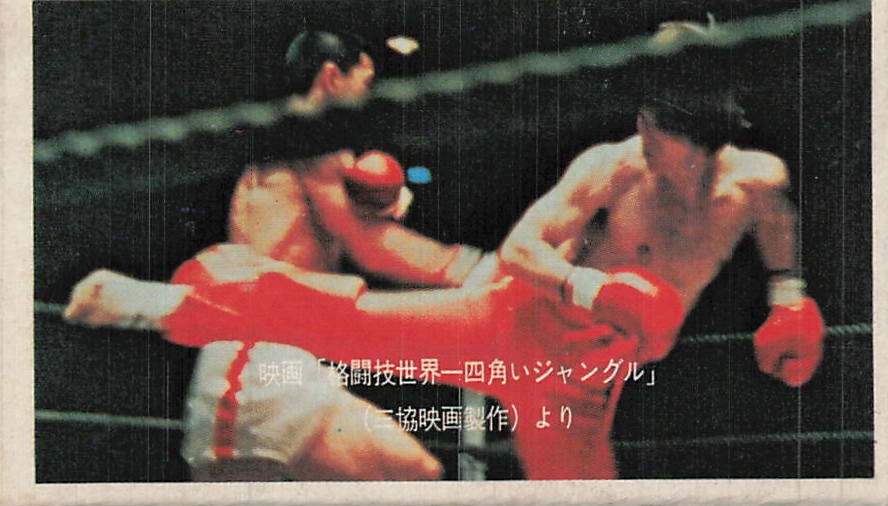 Martial Arts World Champion Kickboxing Movie Menko