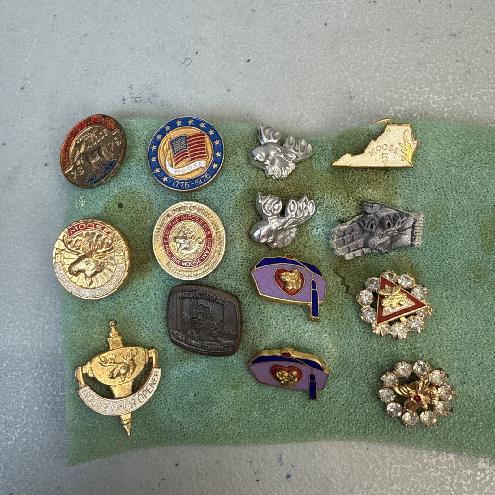 Lot Of 14 LOOM Loyal Order Of The Moose Trading Lapel Pins
