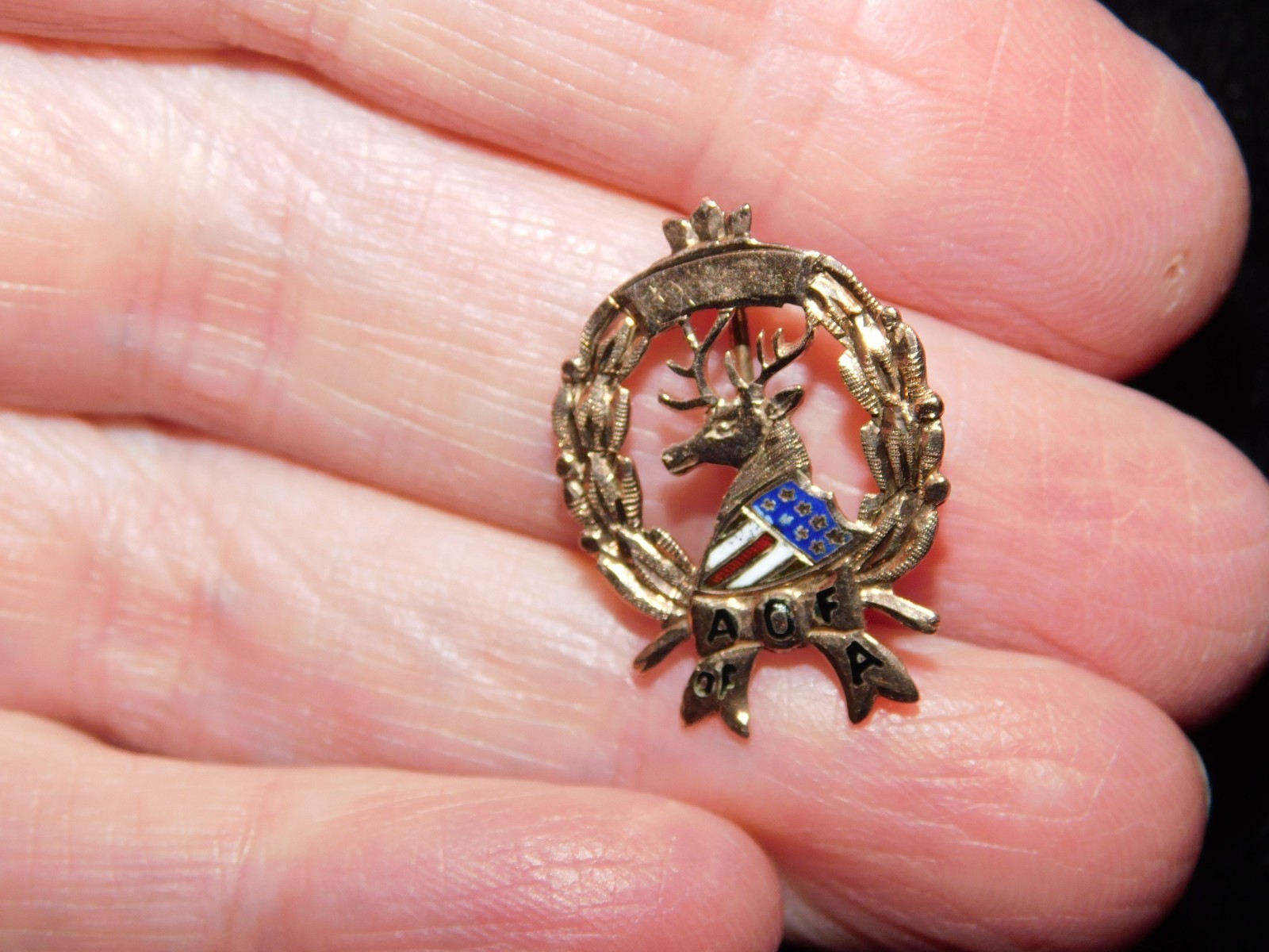 9-10K Gold Vintage Pin Ancient Order of the Foresters America 