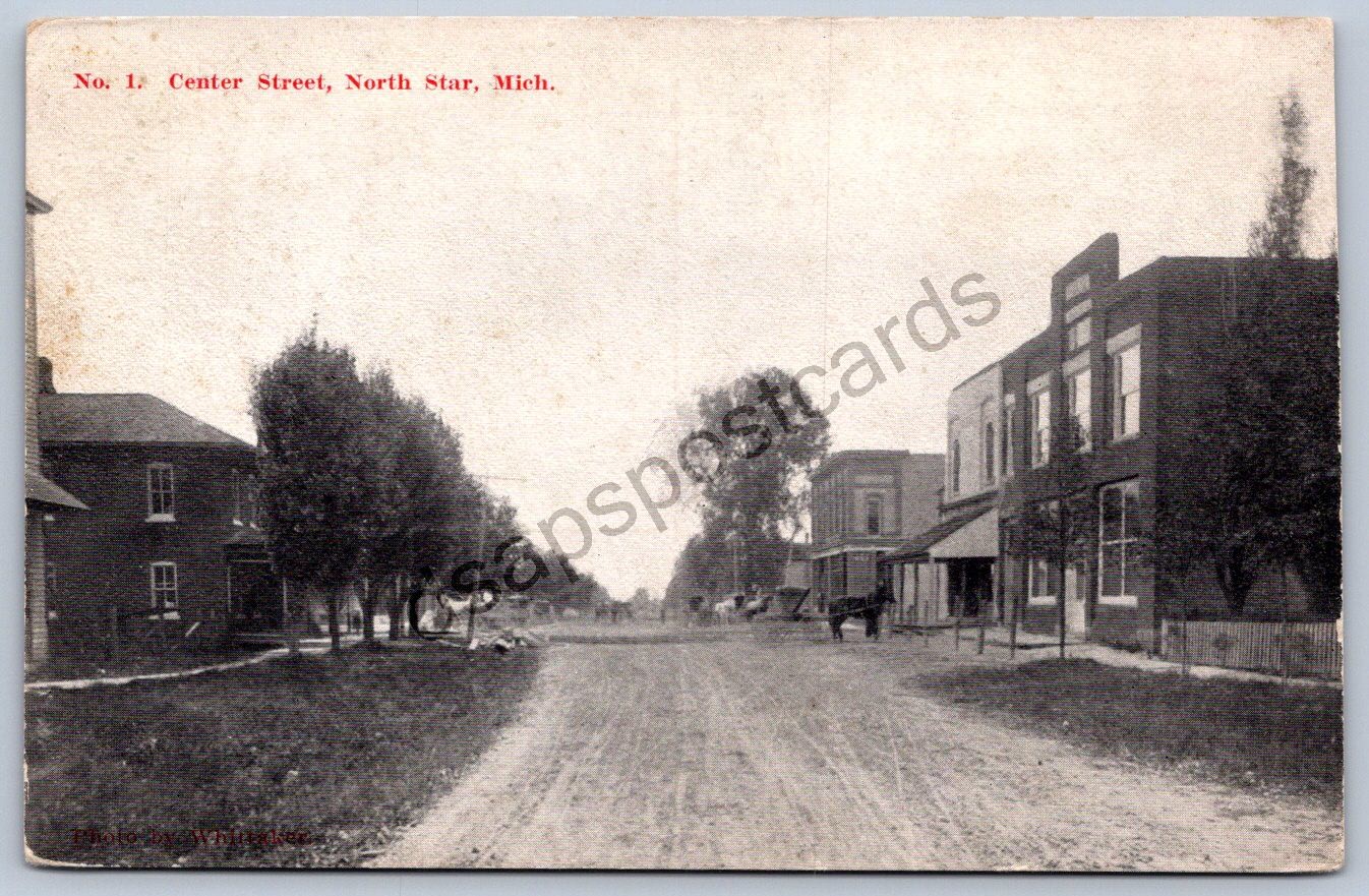 K51/ North Star Michigan Postcard c1910 Center Street Stores 168