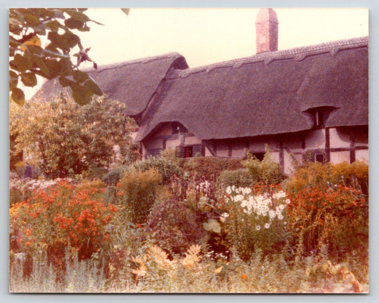 Photograph London Ann Hathaways Cottage Vintage Photography