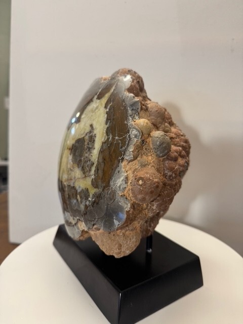 Canyon Rim Thunder Egg - Free Form Polished - Unique Tube Formation - Agate