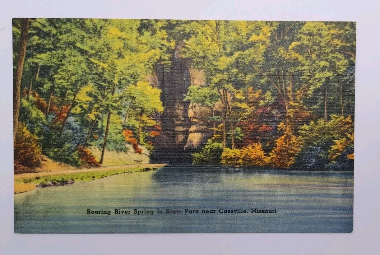 Postcard Roaring River Spring In State Park Near Cassville, Missouri UNP