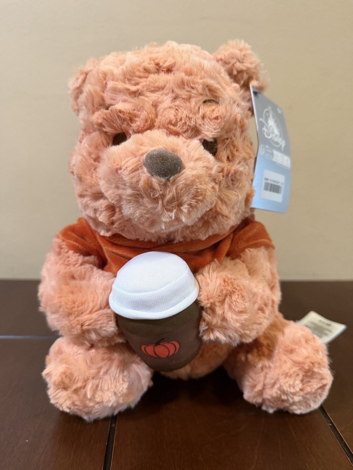 Disney Winnie the Pooh Fall Vibes Plush 10''  Pumpkin Spice Latte NEW 2026