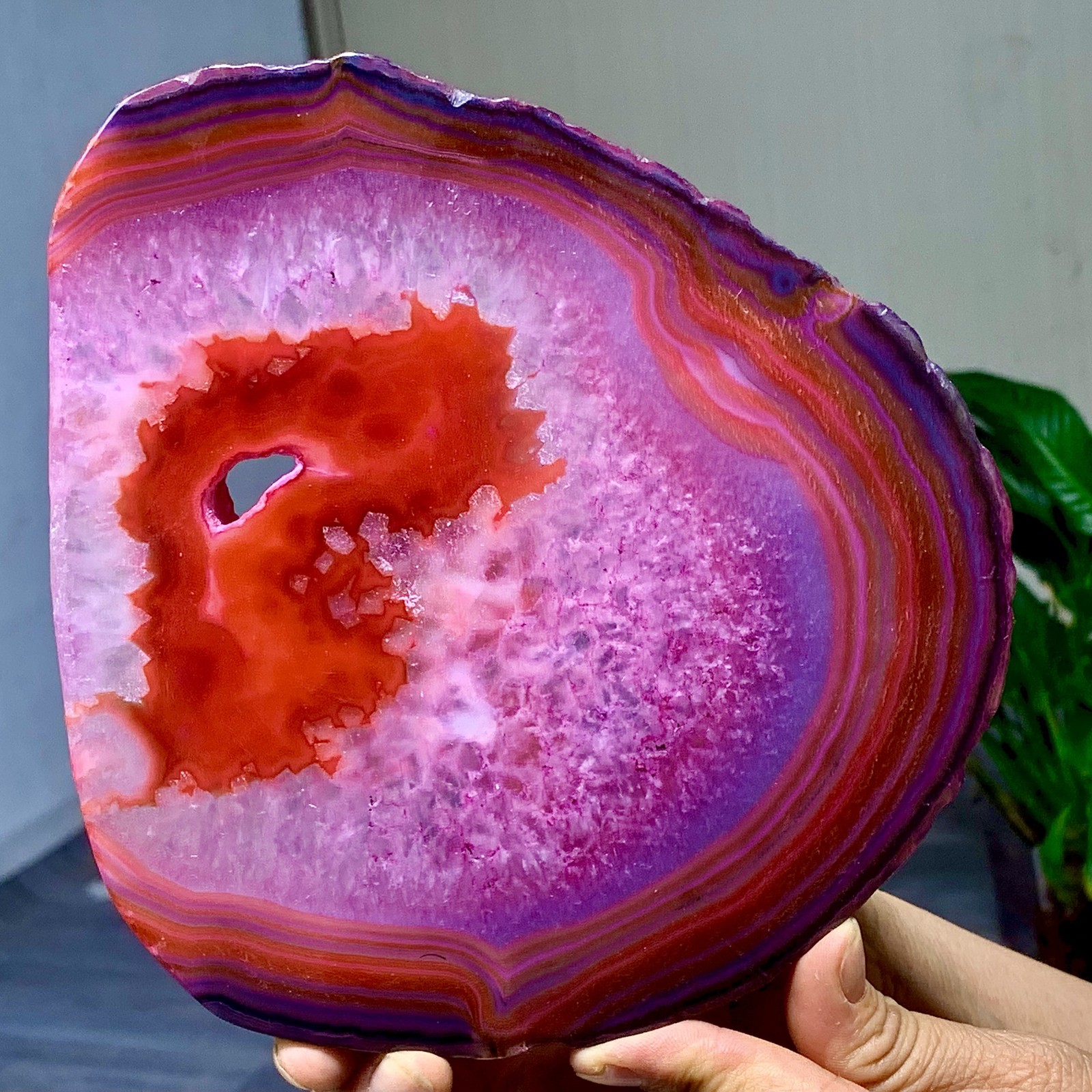 625G Natural Beautiful Agate Geode Druzy Slice Extra Large Gemstone