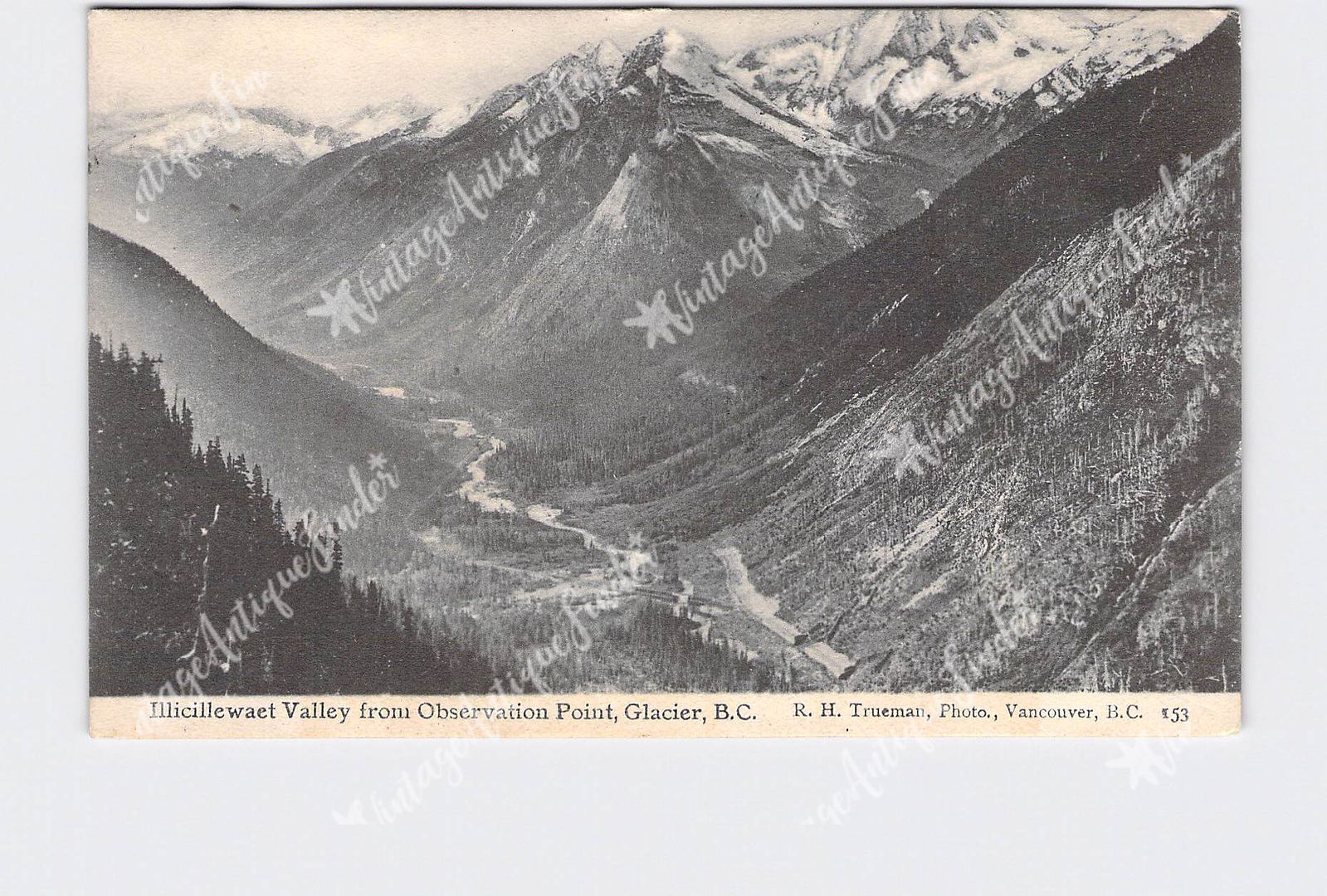 PPC Postcard Canada British Columbia Illicillewaet Valley From Observation Point