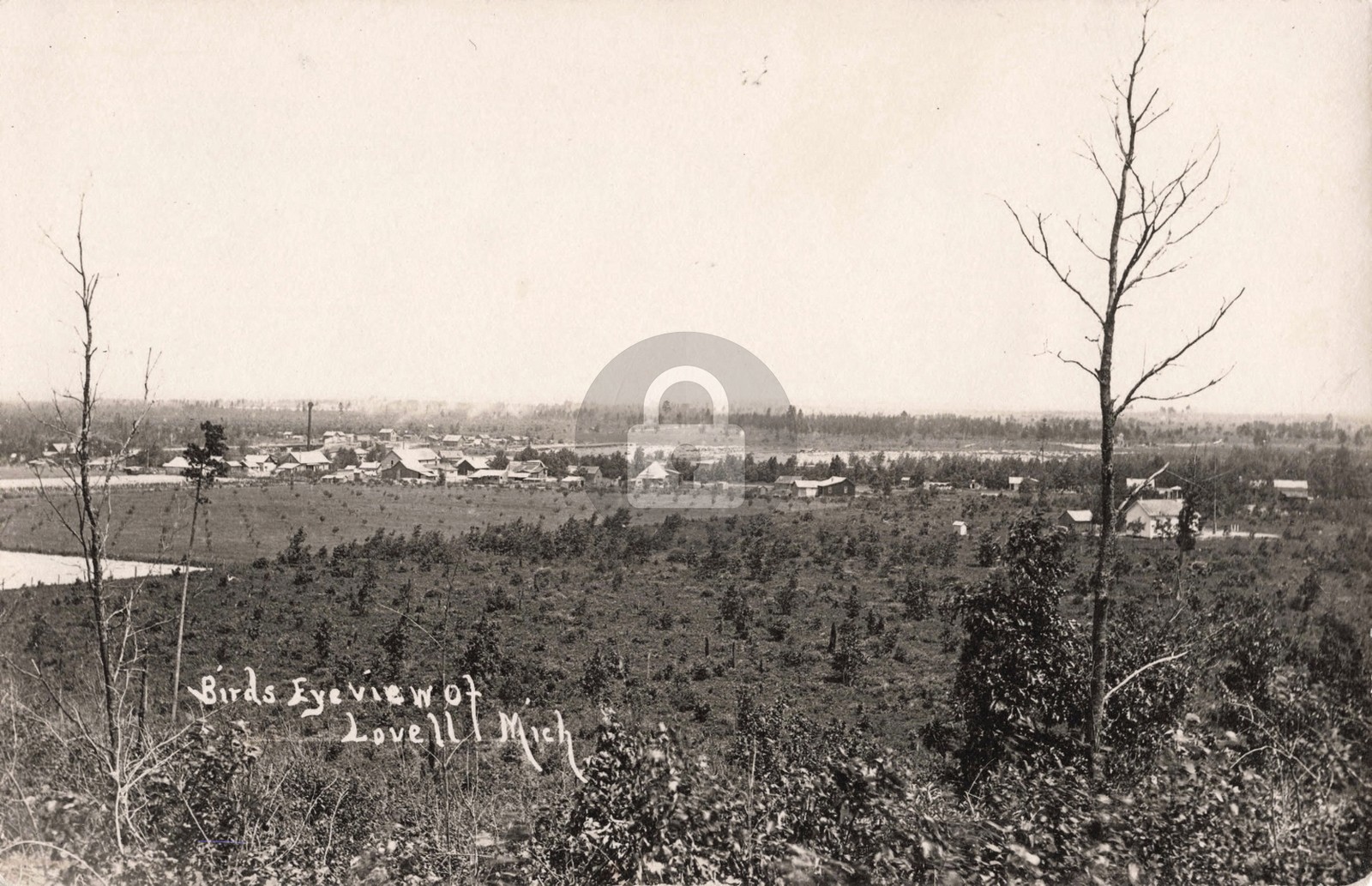 Bird's-Eye View of Lovell MI Michigan 1911 RPPC Photo Postcard COPY