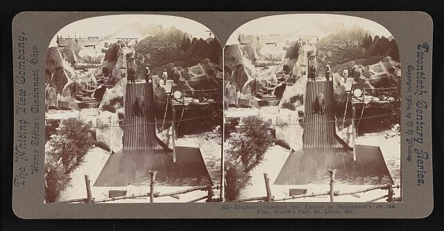 Elephant shooting chutes at Hagenbeck's on pike World's Fair St Lou- Old Photo