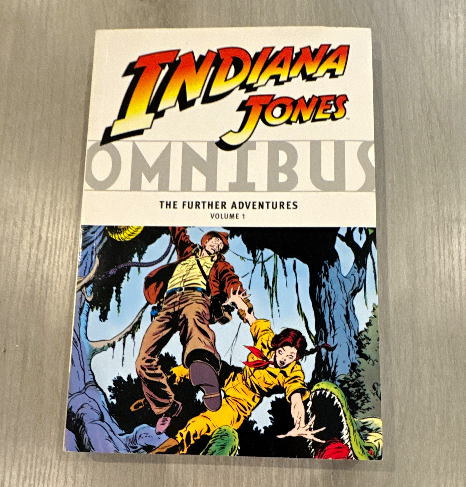 Indiana Jones Omnibus Vol 1 The Further Adventures TPB Dark Horse Books