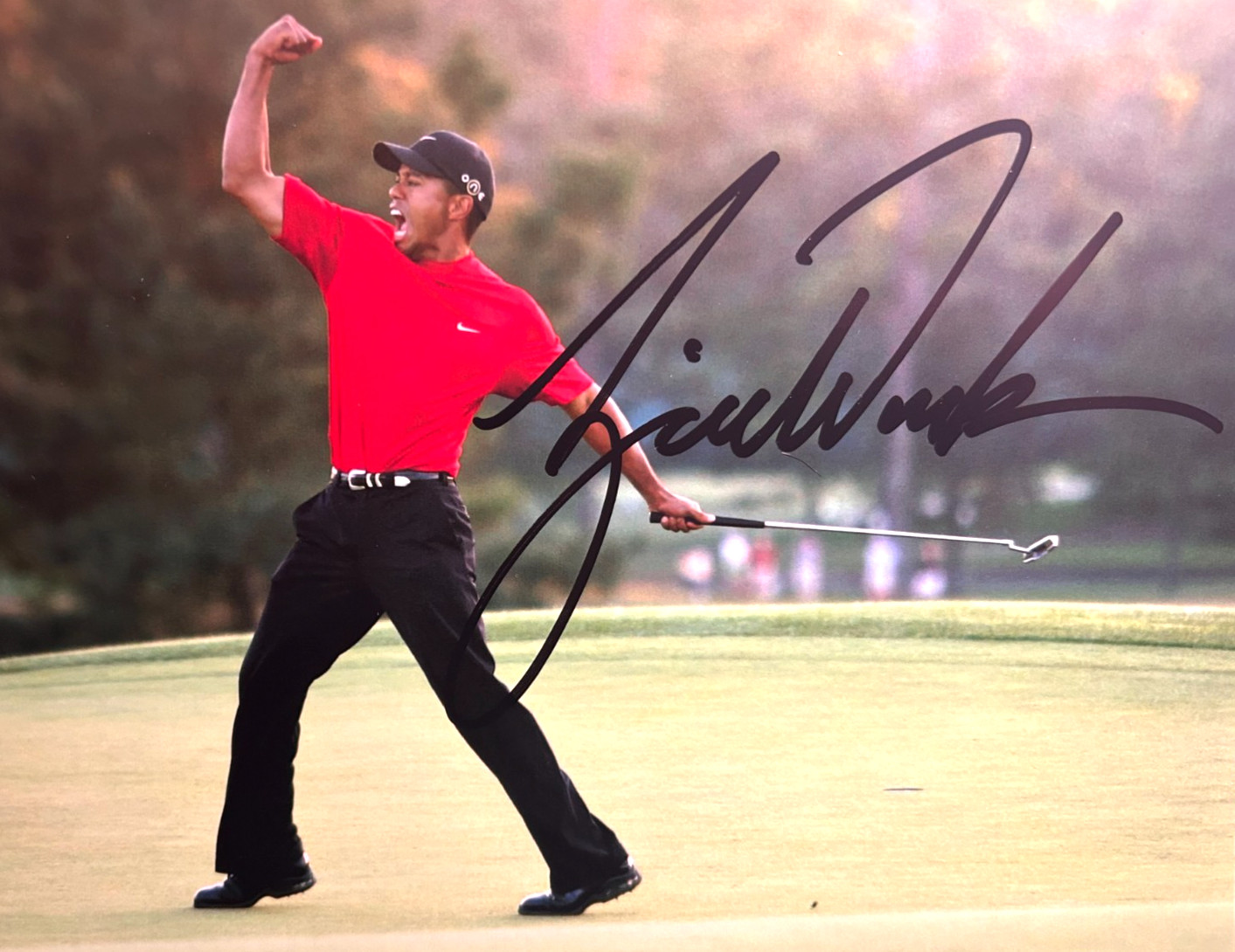 TIGER WOODS Signed 8x10\